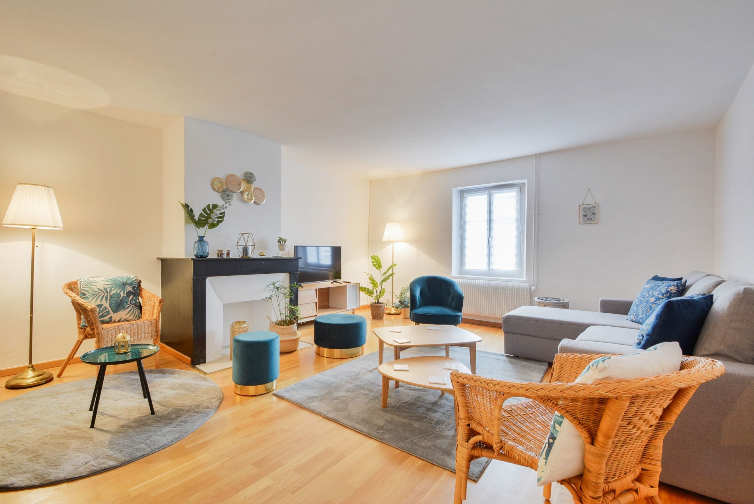 Cosy-Office-Salpetriere Vue salon dans un appartement
