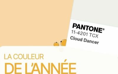 Couleur et controverse 2026 : que révèle vraiment la couleur Pantone ?